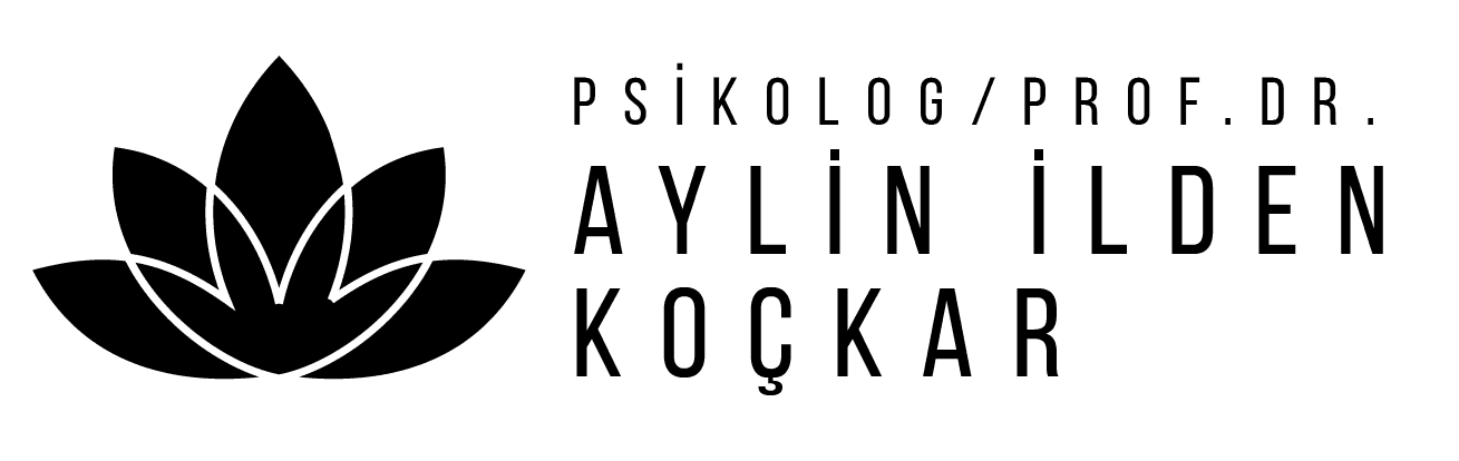 aylinildenkockar-logo